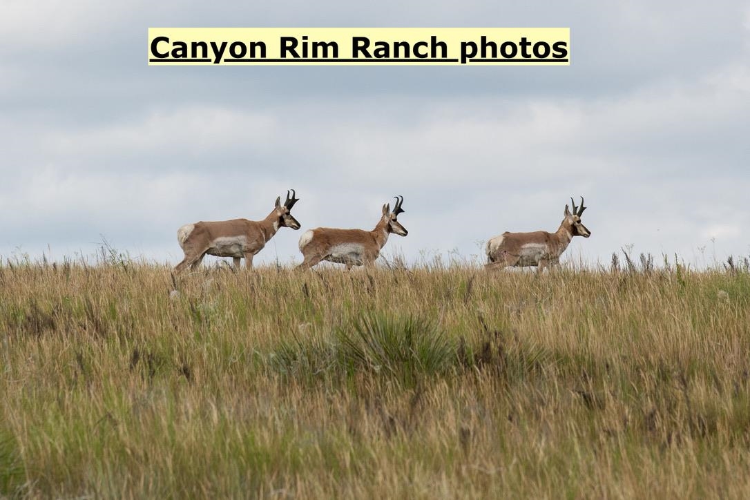 Big Sky 7 Elk Run Road Property Photo 39