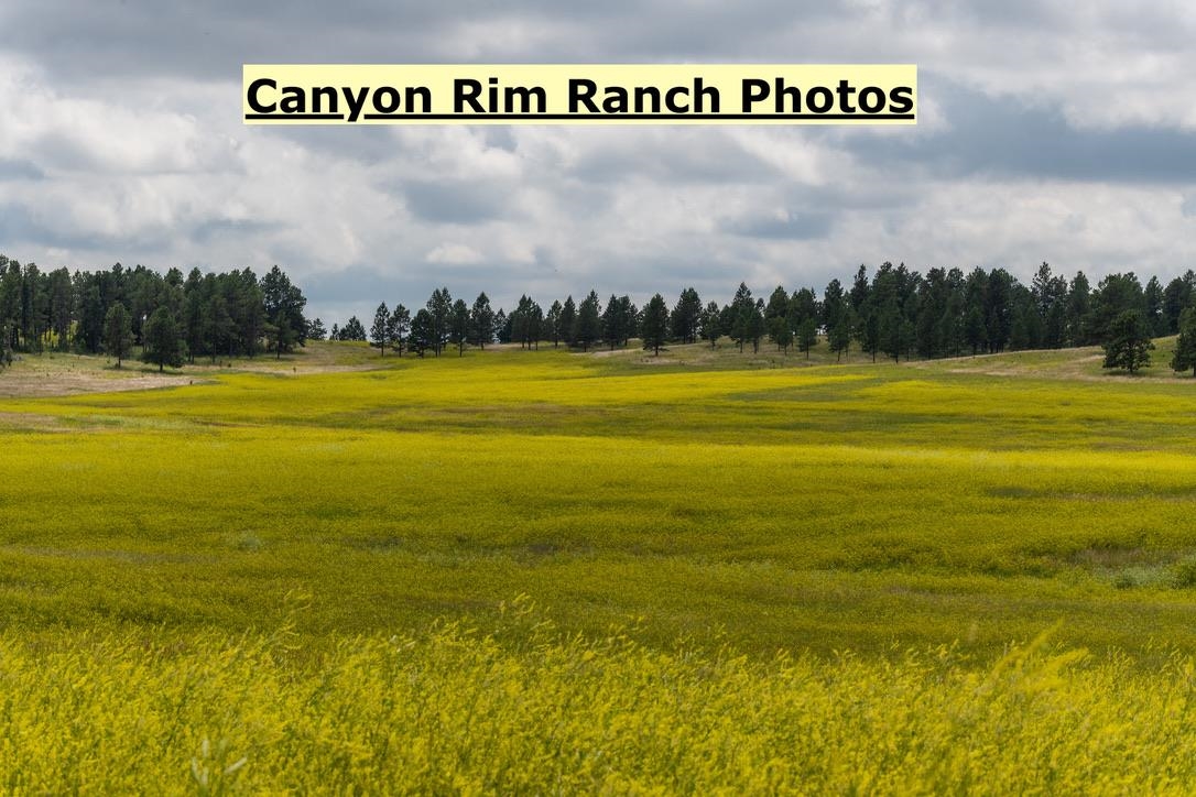 Big Sky 7 Elk Run Road Property Photo 43