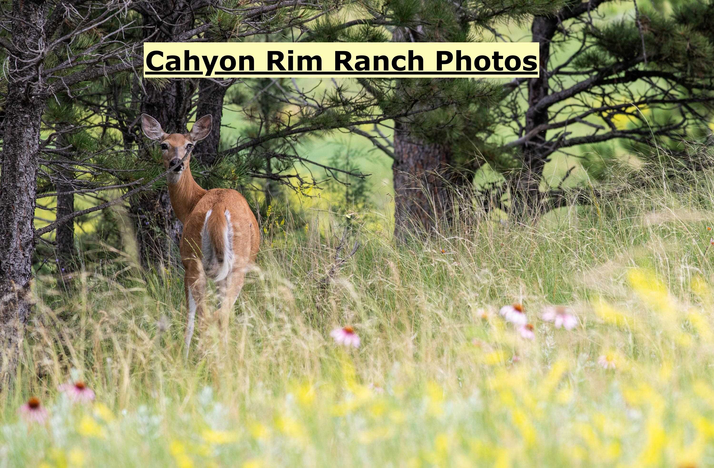 Big Sky 7 Elk Run Road Property Photo 44
