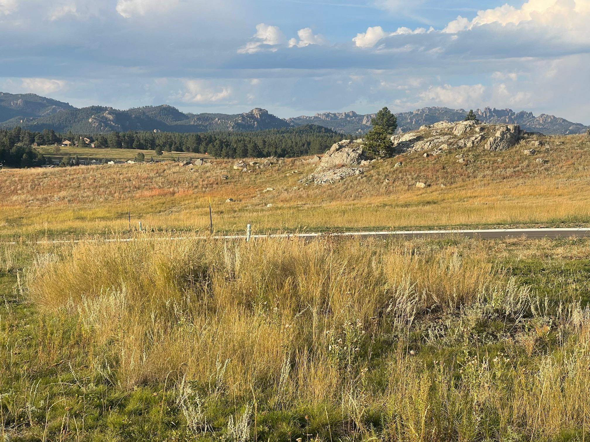 Tbd Stone Hill Property Photo 3