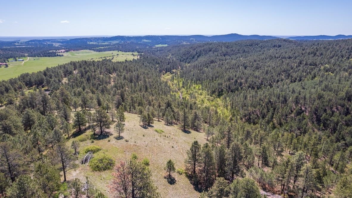 Tbd Vip Road Property Photo 4
