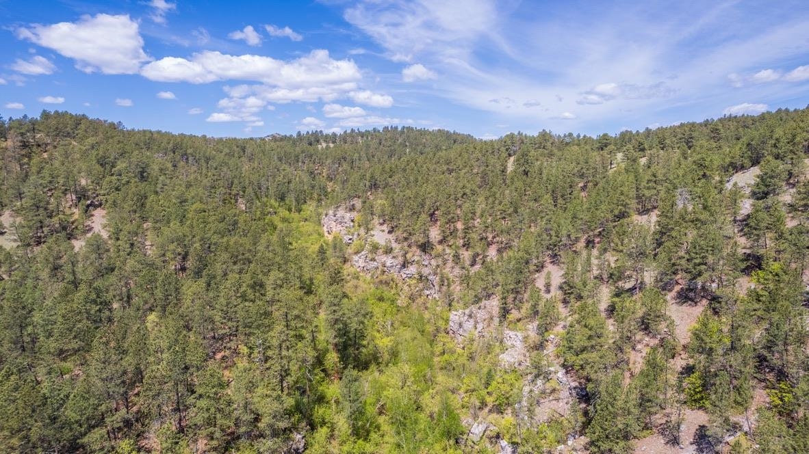 Tbd Vip Road Property Photo 6