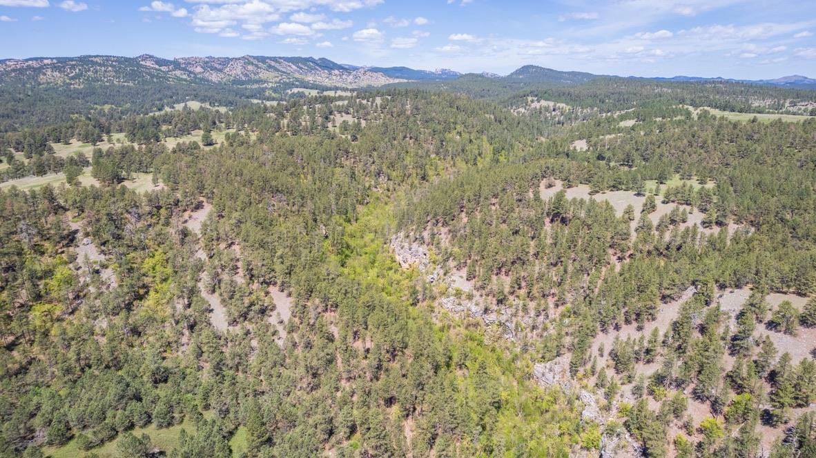 Tbd Vip Road Property Photo 7