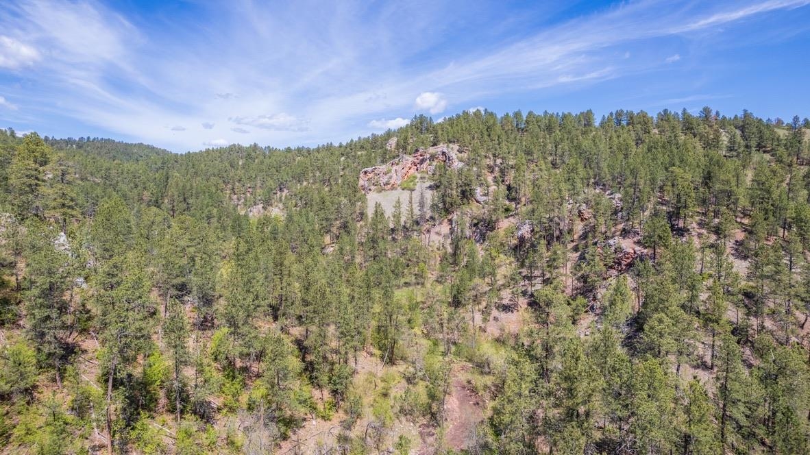 Tbd Vip Road Property Photo 11