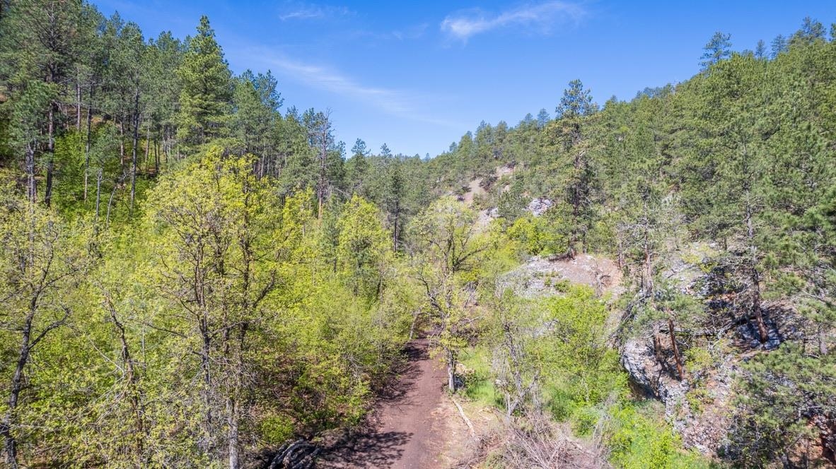 Tbd Vip Road Property Photo 15
