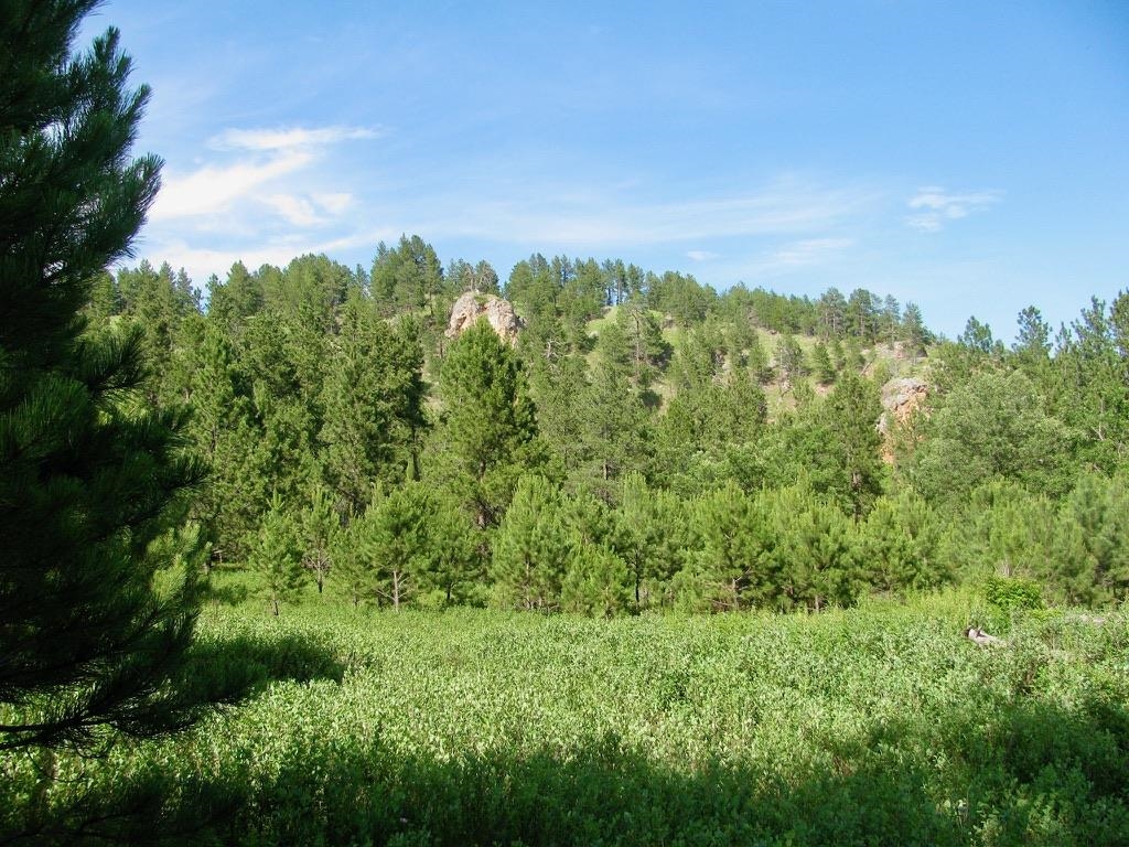 Tbd Vip Road Property Photo 20