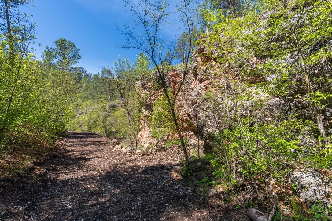 Tbd Vip Road Property Photo 22