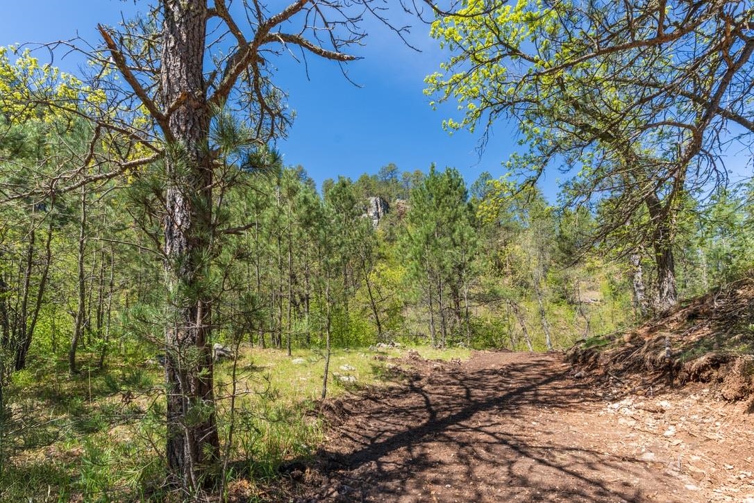 Tbd Vip Road Property Photo 27