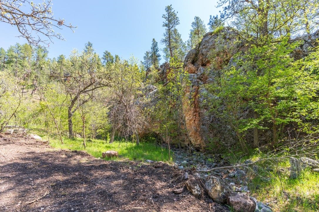 Tbd Vip Road Property Photo 28
