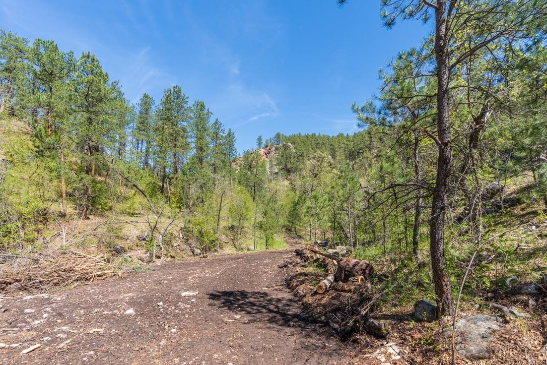 Tbd Vip Road Property Photo 34