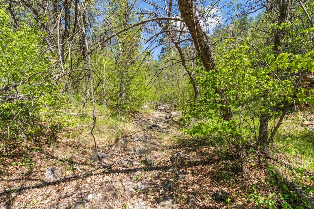 Tbd Vip Road Property Photo 38