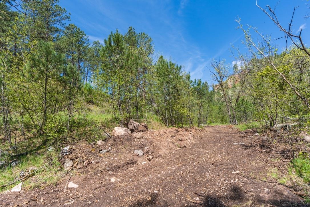 Tbd Vip Road Property Photo 41