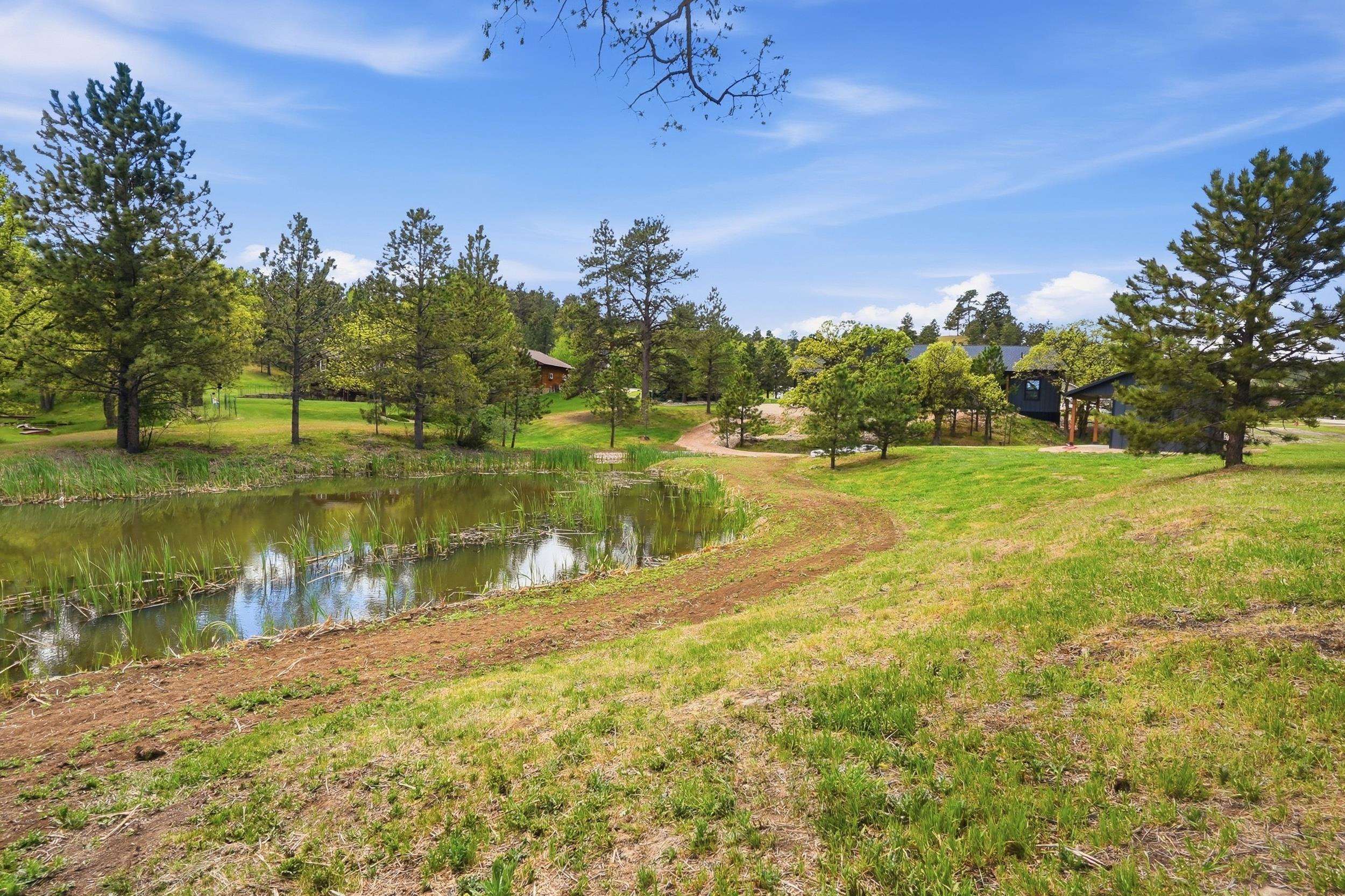 20208 Frog Pond Court Property Photo 40