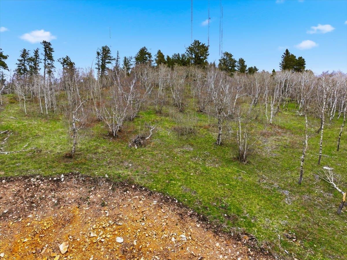 Lot 1 Property Photo 15
