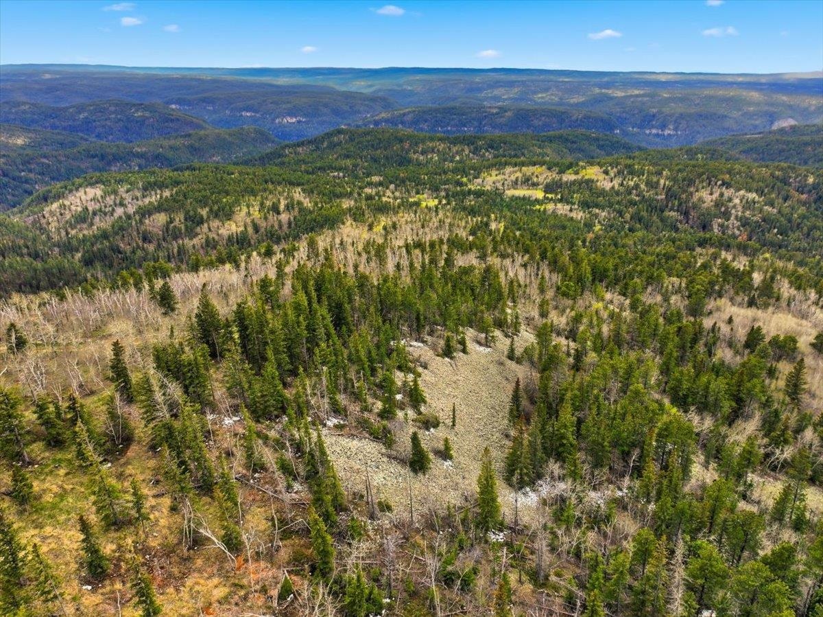 Lot 6 Wapiti Road Property Photo 10