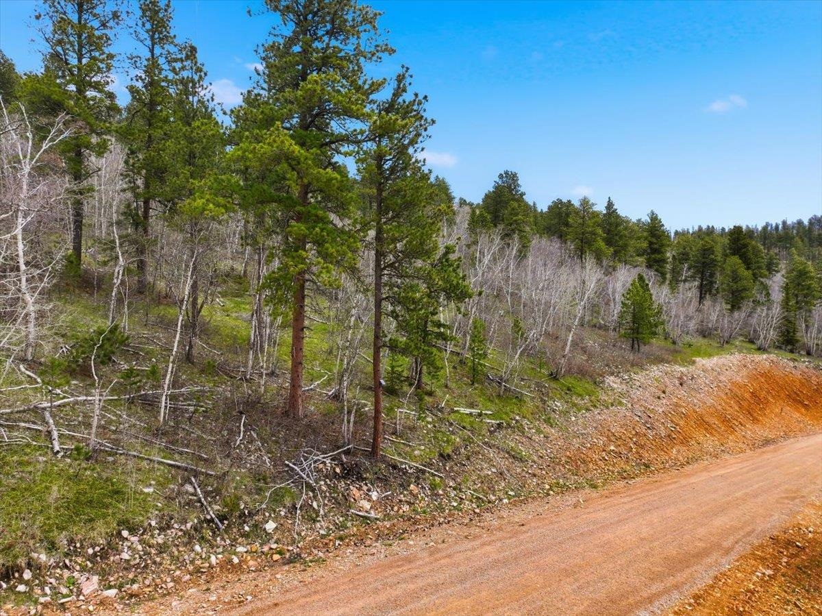 Lot 6 Wapiti Road Property Photo 19