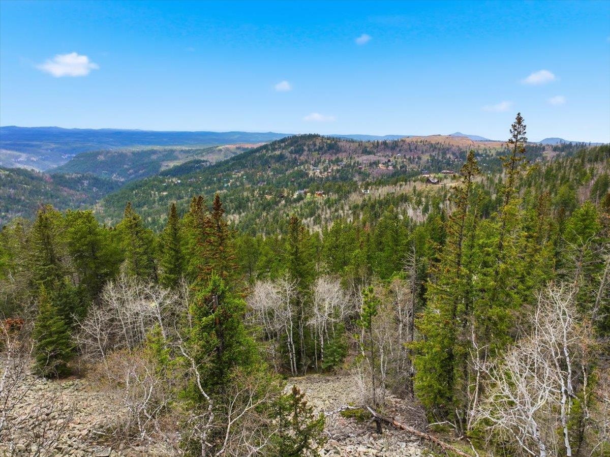 Lot 7 Wapiti Road Property Photo 11