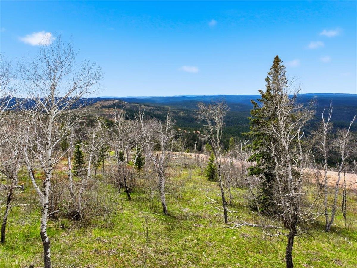 Lot 7 Wapiti Road Property Photo 14