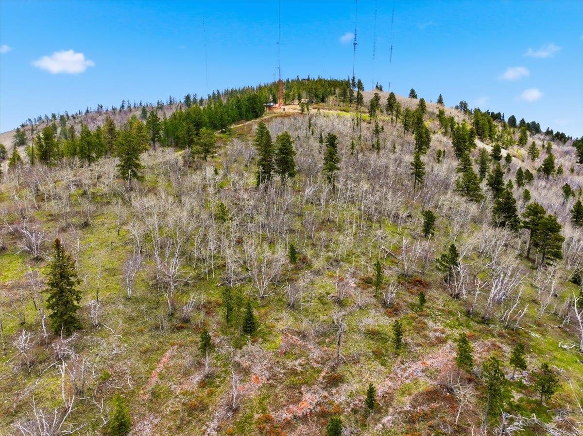 Lot 7 Wapiti Road Property Photo 18