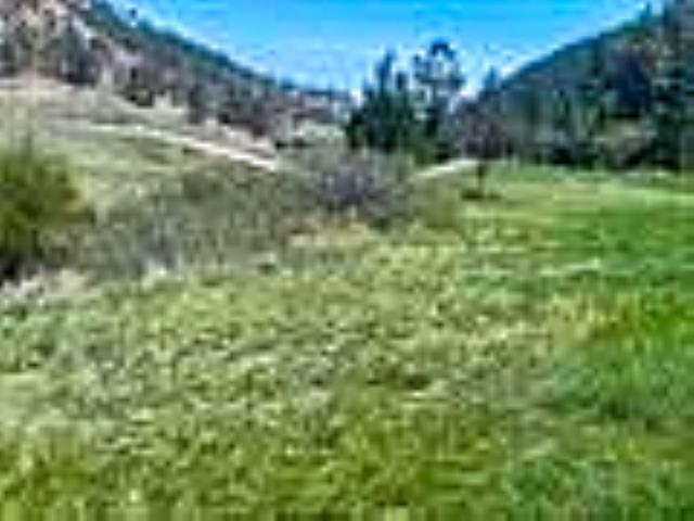 12909 Sheps Canyon Road Property Photo 5