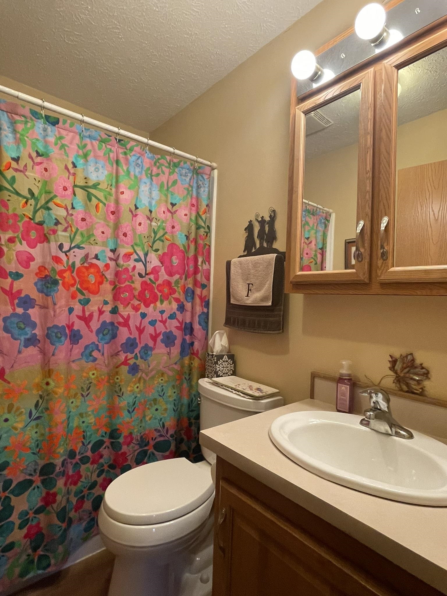 12909 Sheps Canyon Road Property Photo 20