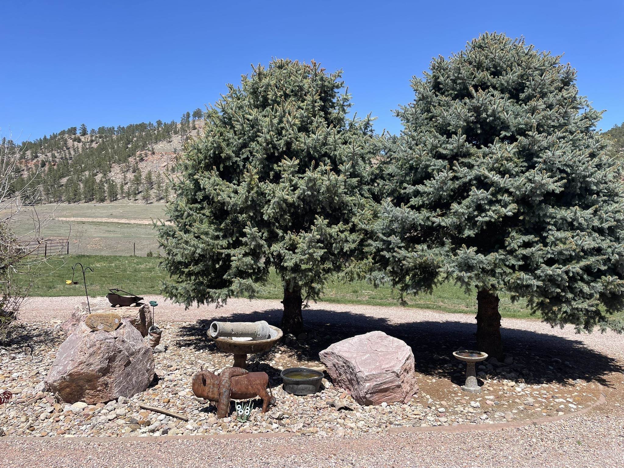 12909 Sheps Canyon Road Property Photo 32