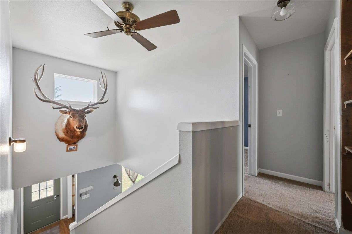 19 Statesboro Drive Property Photo 21