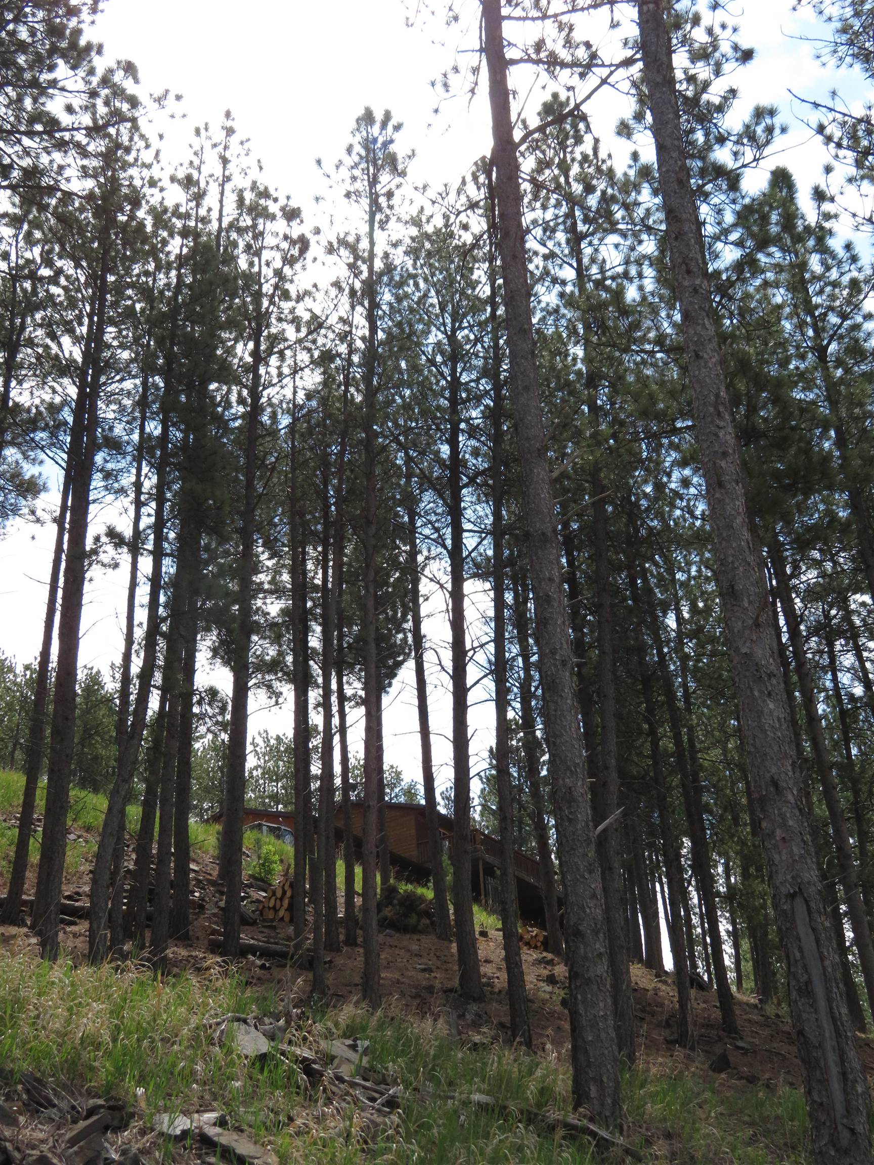 23716 Burnt Fork Road Property Photo 24