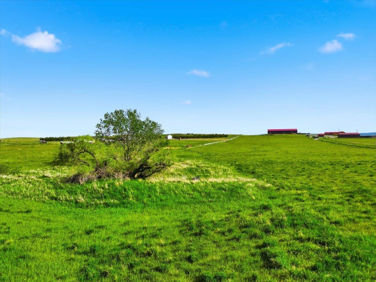 12565 Bighorn Road Property Photo 39