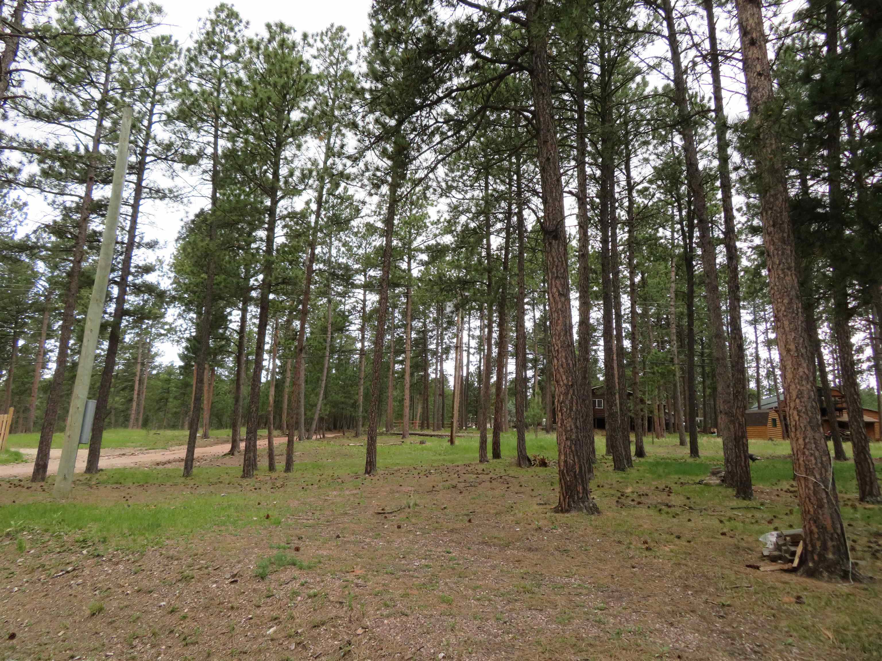 12772 Black Forest Road Property Photo 7
