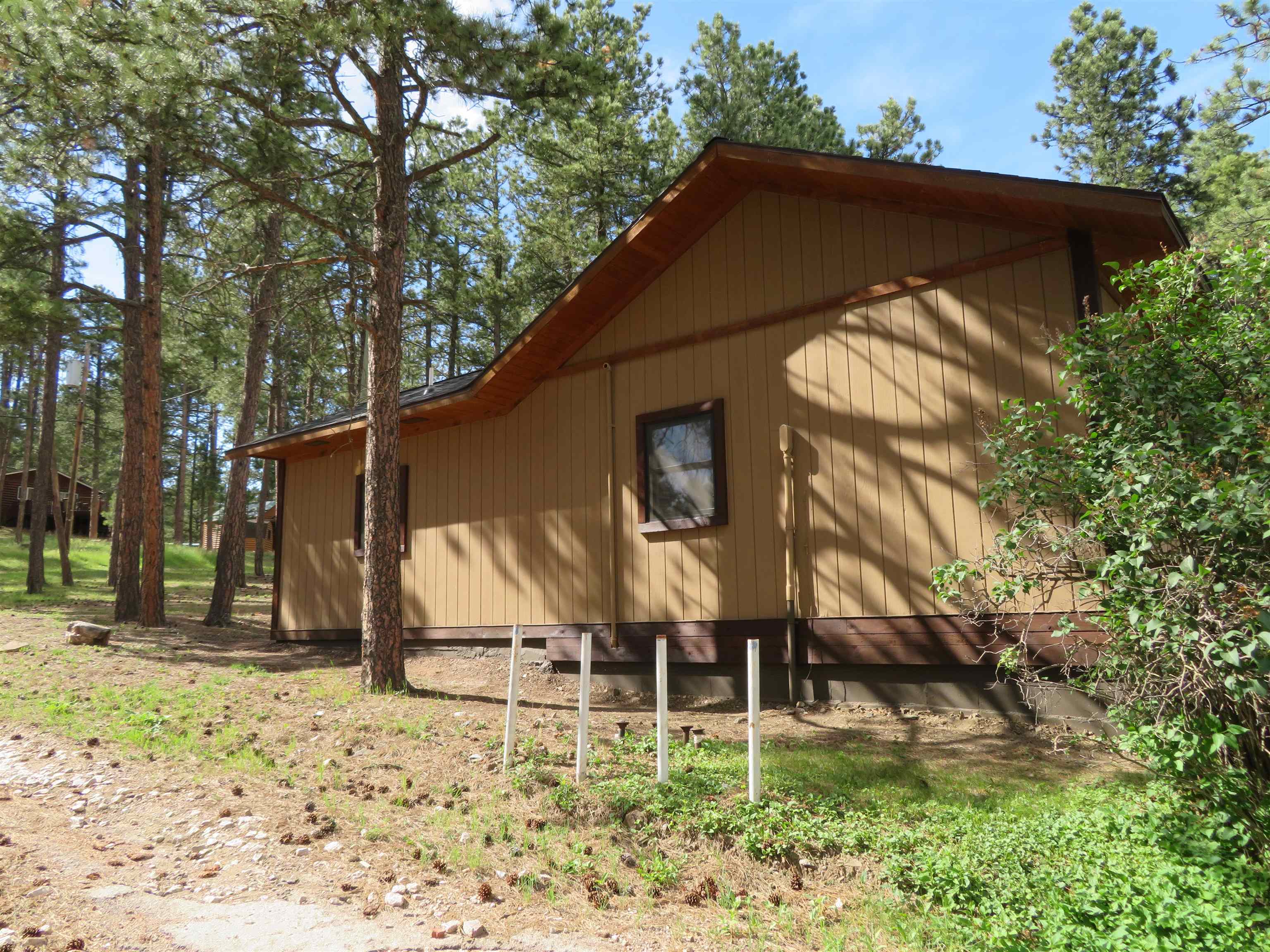 12772 Black Forest Road Property Photo 9