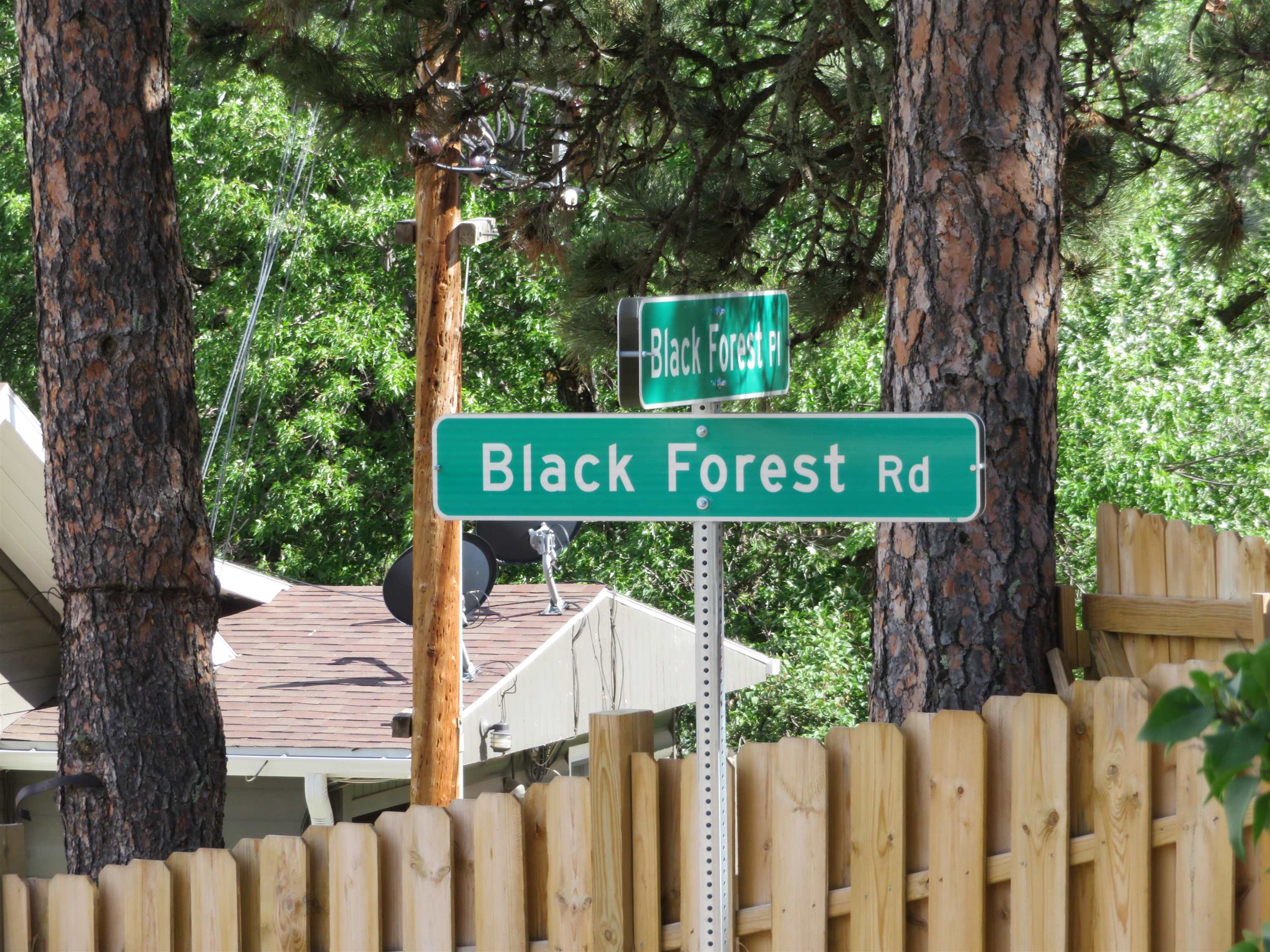 12772 Black Forest Road Property Photo 13