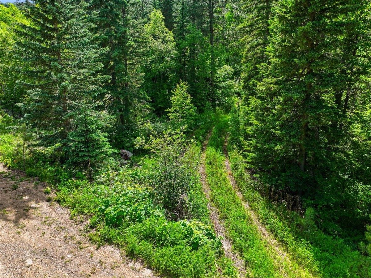 20691 Toboggan Hill Road Property Photo 4