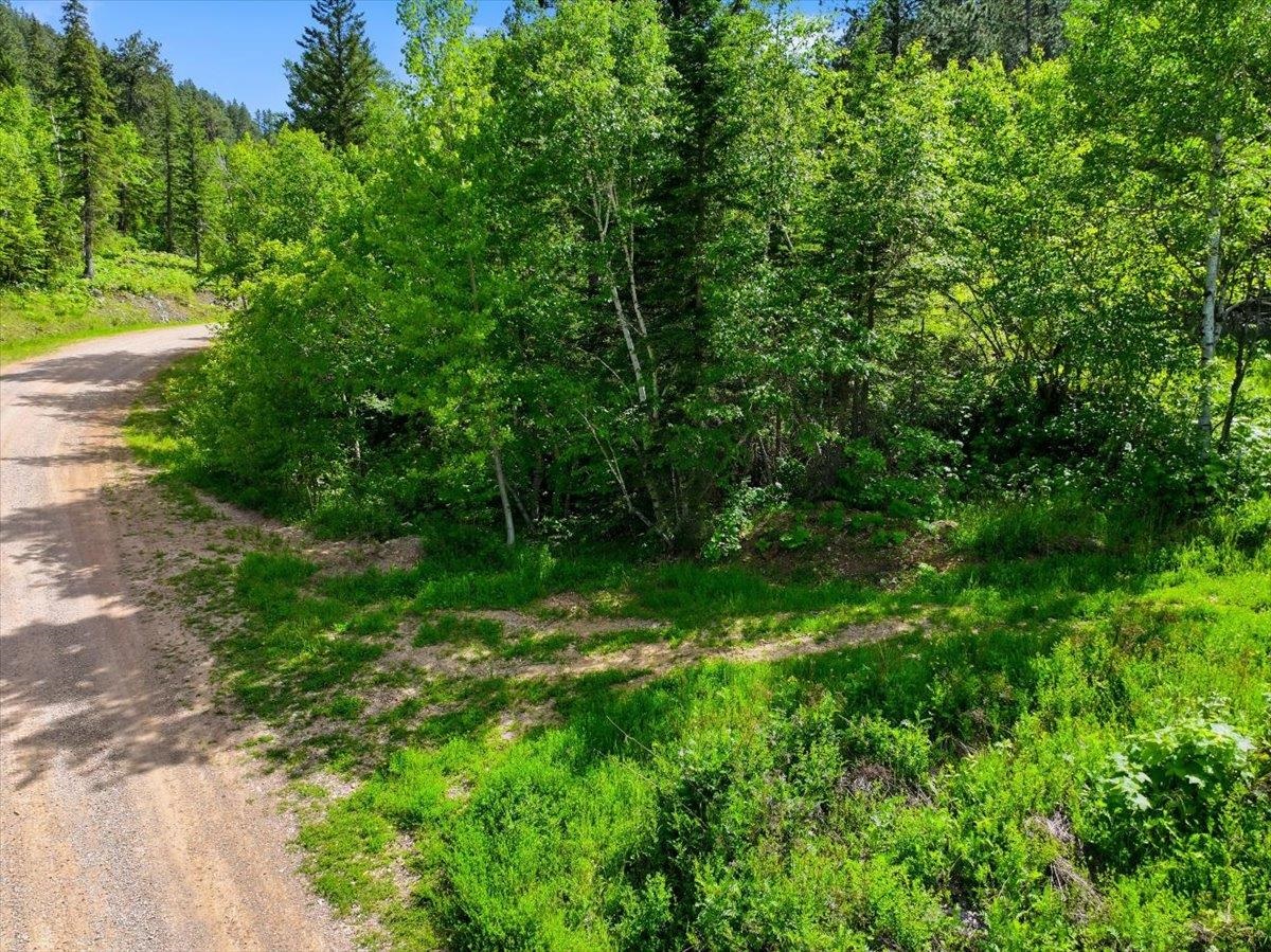 20691 Toboggan Hill Road Property Photo 8