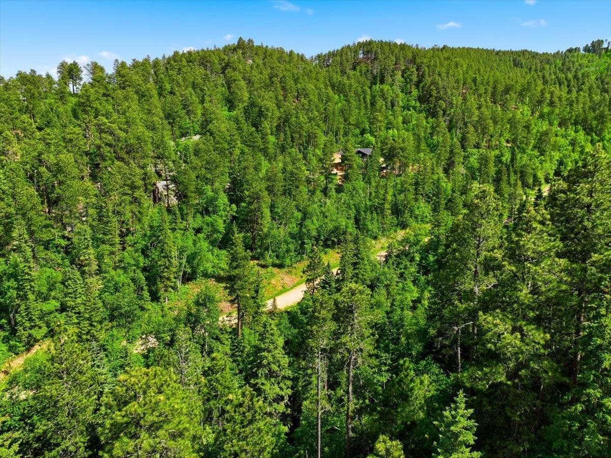 20691 Toboggan Hill Road Property Photo 11