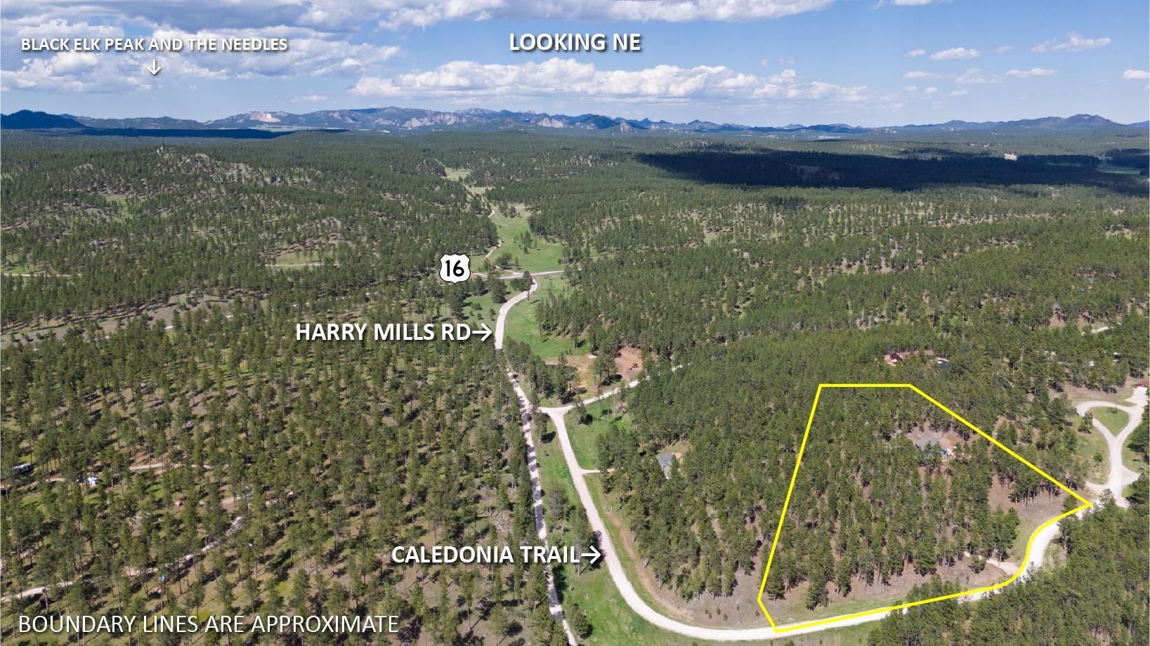 11754 Caledonia Trail Property Photo 5
