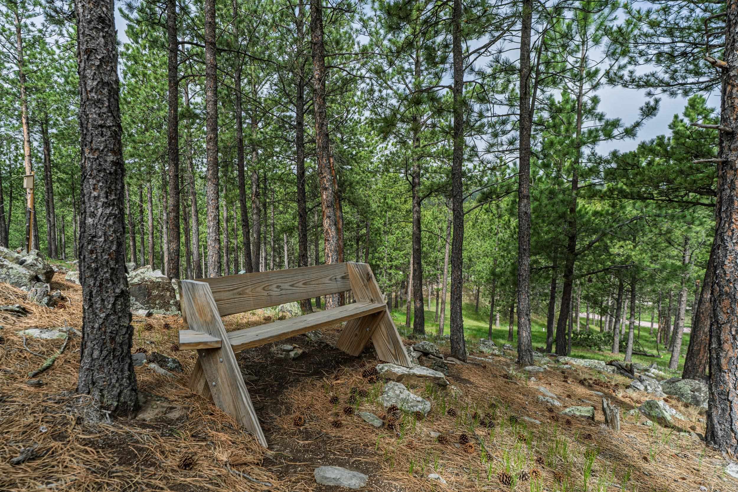 11754 Caledonia Trail Property Photo 30