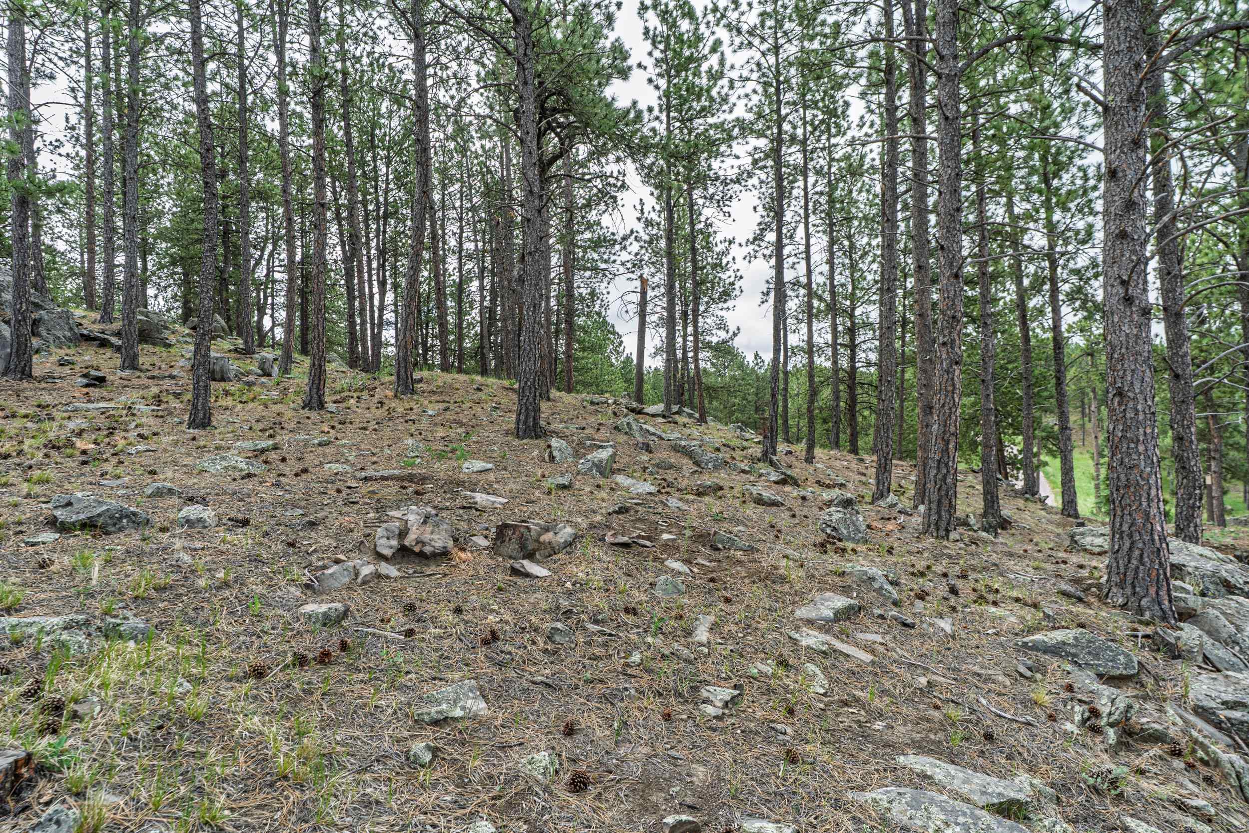 11754 Caledonia Trail Property Photo 33