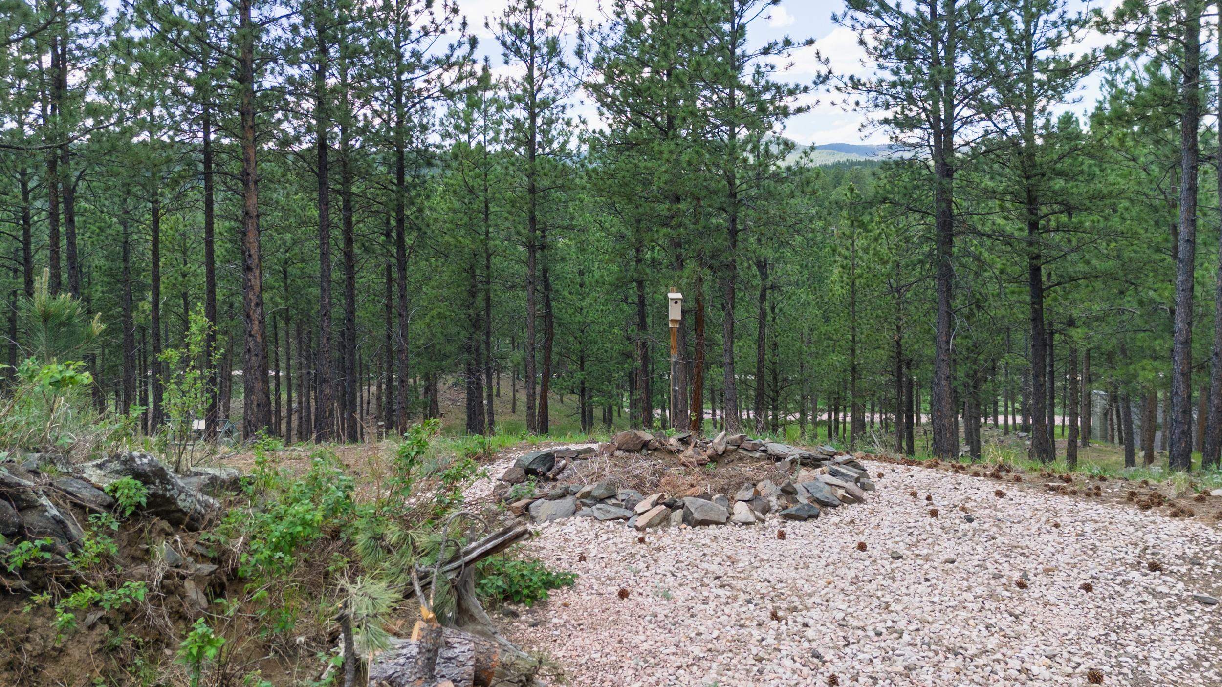 11754 Caledonia Trail Property Photo 35