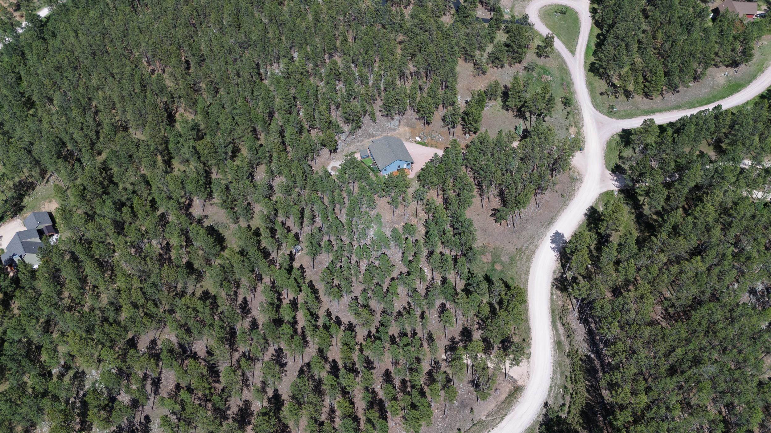 11754 Caledonia Trail Property Photo 41
