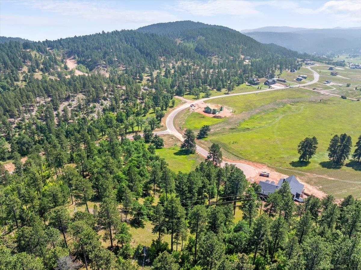 Lot 10, Blk 19 Apple Springs Boulevard Property Photo 2