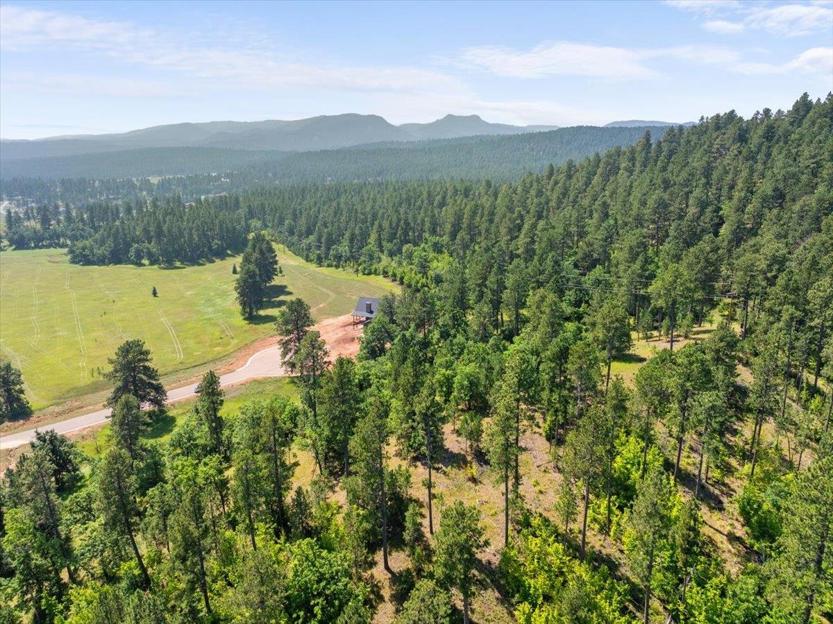 Lot 10, Blk 19 Apple Springs Boulevard Property Photo 3