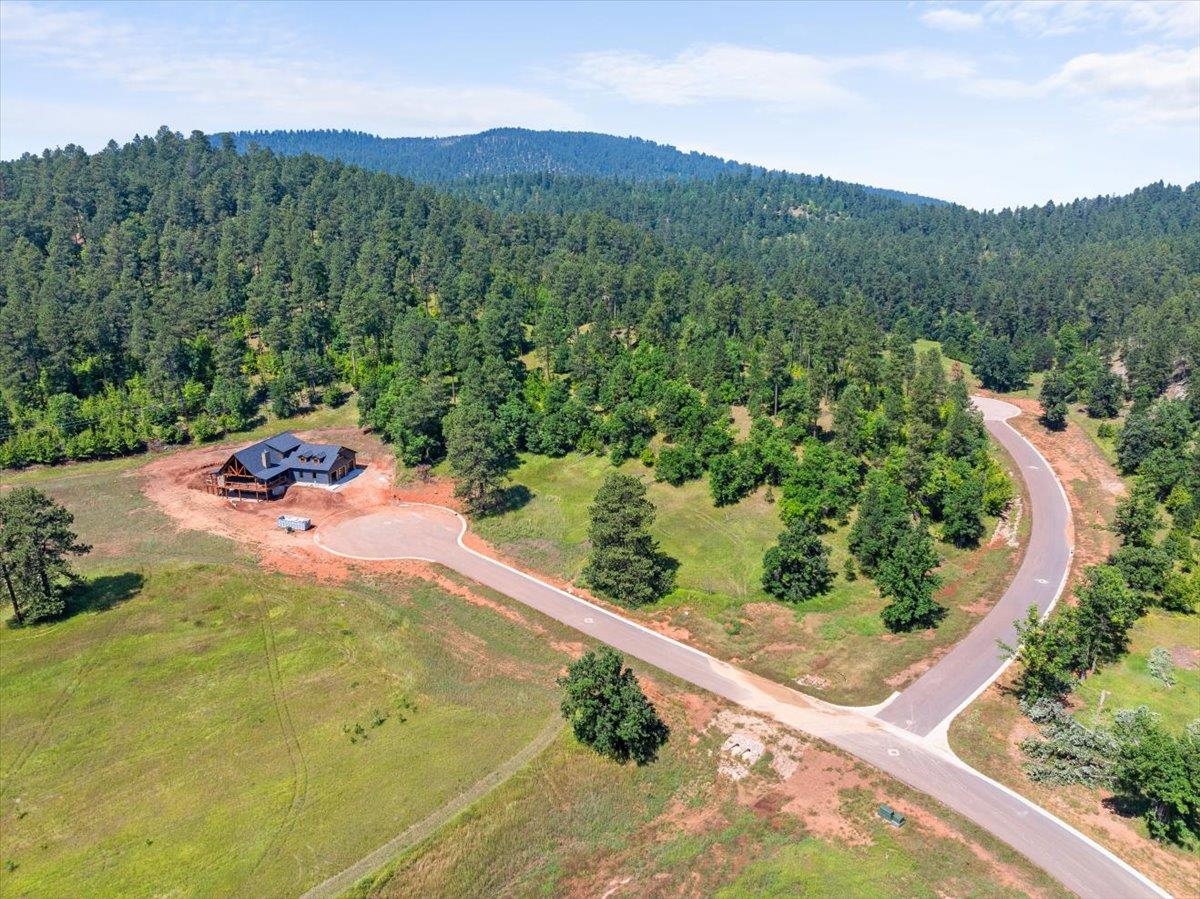 Lot 10, Blk 19 Apple Springs Boulevard Property Photo 5