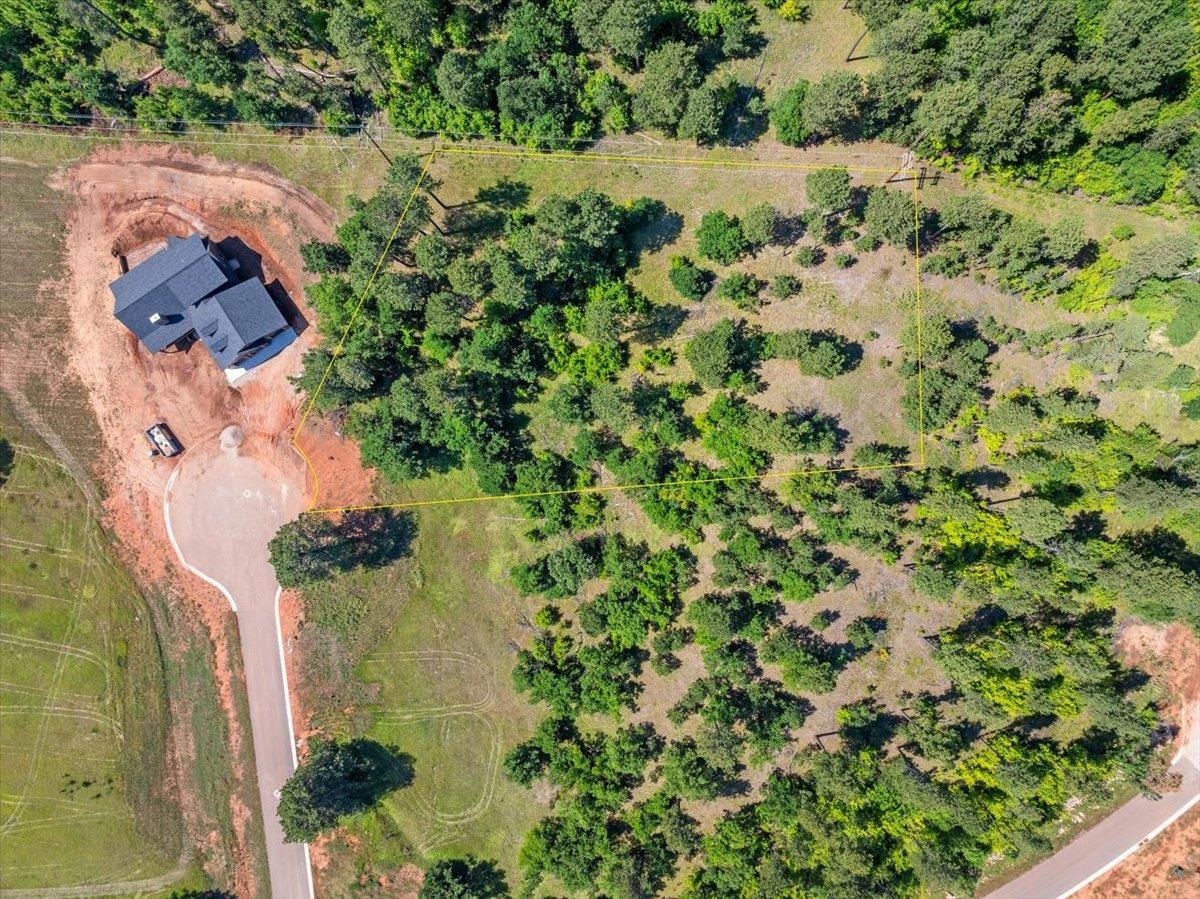 Lot 10, Blk 19 Apple Springs Boulevard Property Photo 6