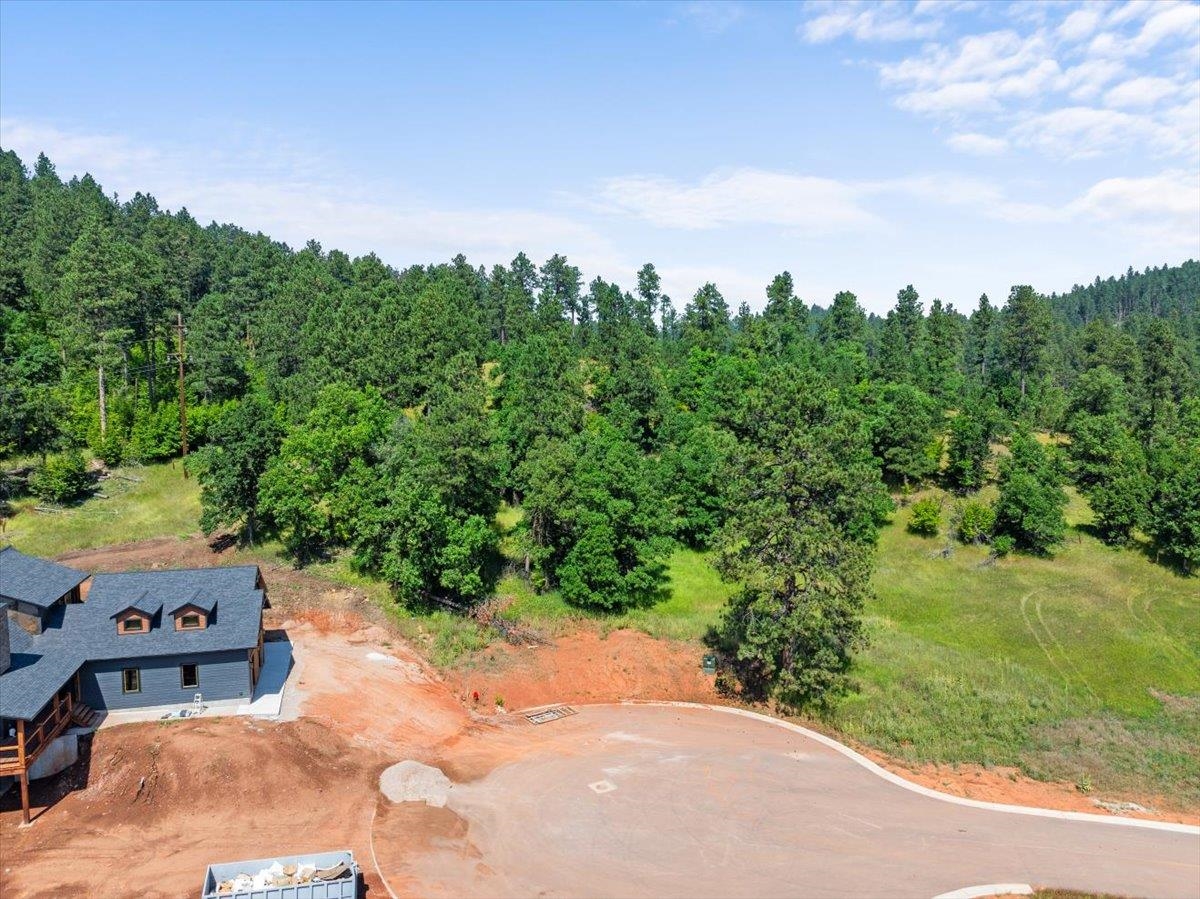 Lot 10, Blk 19 Apple Springs Boulevard Property Photo 7
