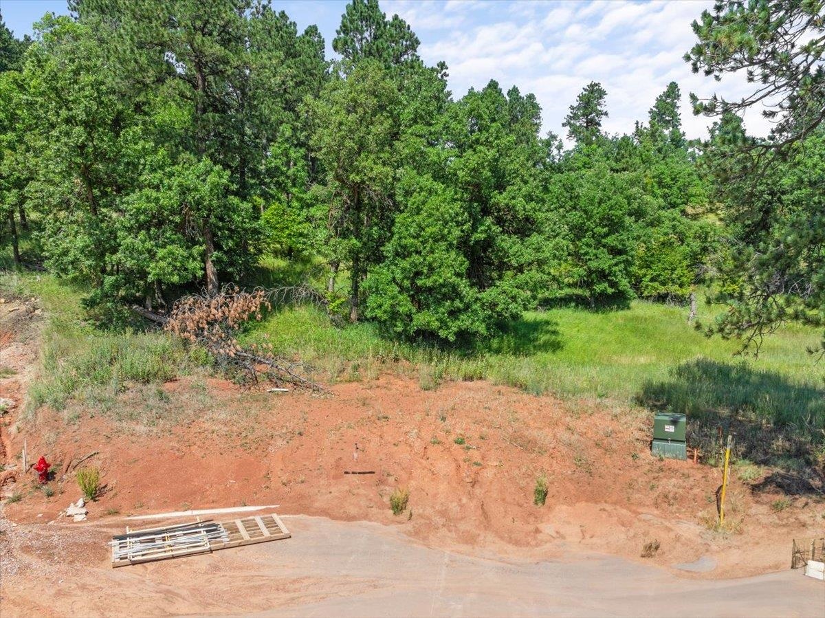 Lot 10, Blk 19 Apple Springs Boulevard Property Photo 8