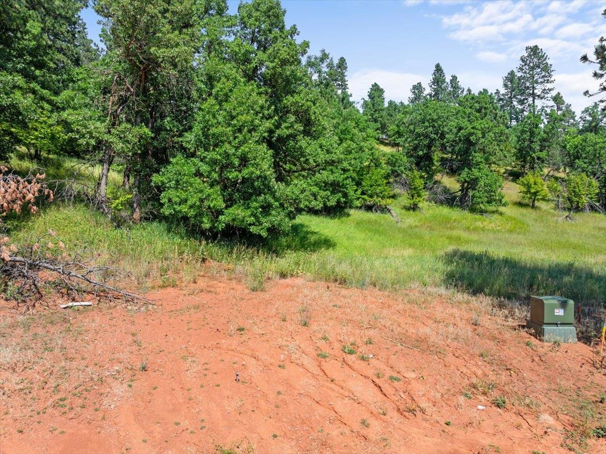 Lot 10, Blk 19 Apple Springs Boulevard Property Photo 9