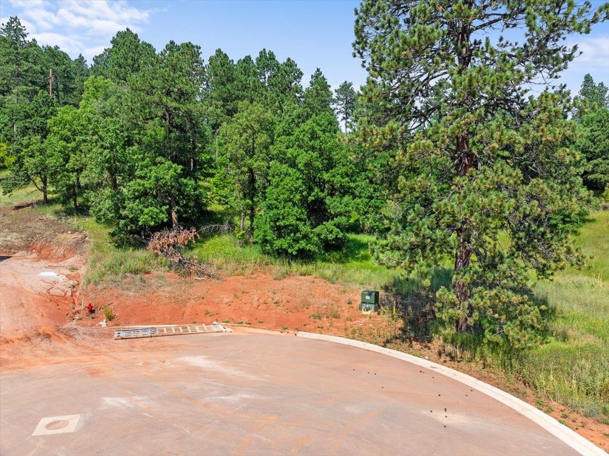 Lot 10, Blk 19 Apple Springs Boulevard Property Photo 10