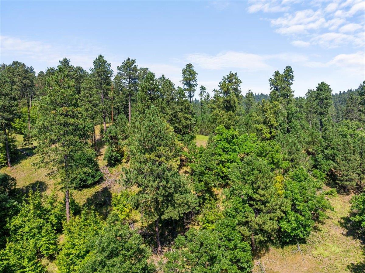 Lot 10, Blk 19 Apple Springs Boulevard Property Photo 11