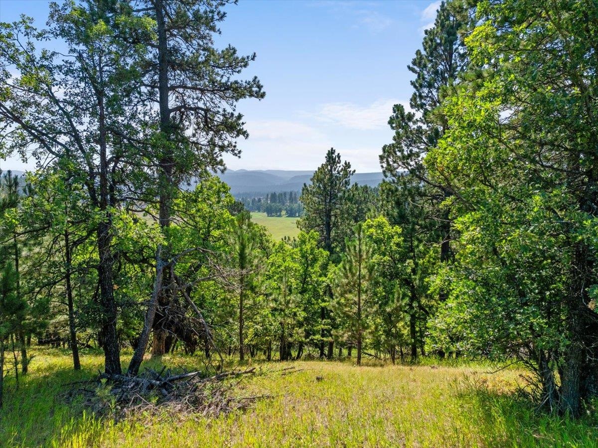 Lot 10, Blk 19 Apple Springs Boulevard Property Photo 12